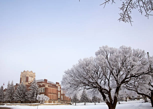 istock Hoar Frost Prairie 947356948