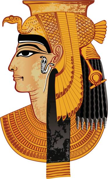 ilustraciones, imágenes clip art, dibujos animados e iconos de stock de egyptian cama queen - hieroglyphics egypt egyptian culture nefertiti