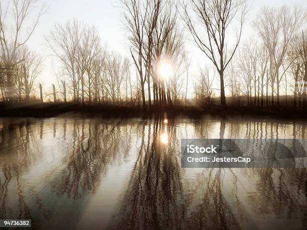 Dourado Pôr Do Sol - Fotografias de stock e mais imagens de Ajardinado - Ajardinado, Amanhecer, Ao Ar Livre