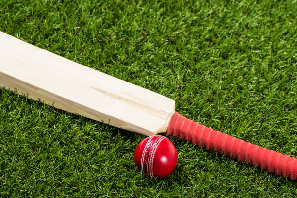 istock Looking down on a Cricket ball sitting in the grass with a bat 947364090