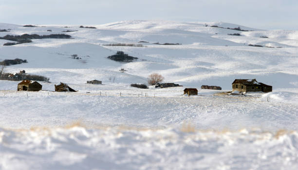 paisagem do inverno prairie - prairie farm winter snow - fotografias e filmes do acervo