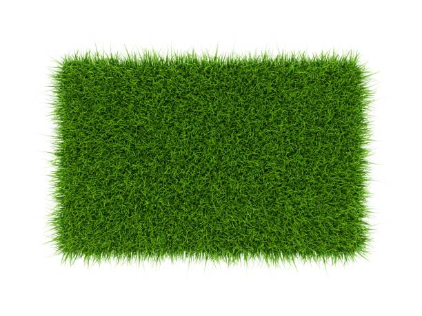 istock 3D Rendering green grass field isolated on white background 947369014