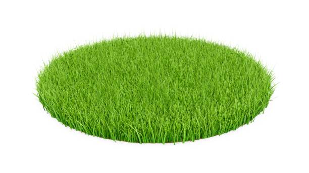 istock 3D rendering Green grass circle field isolated on white background 947369066