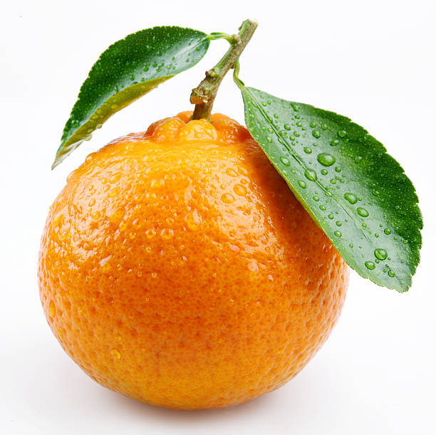 istock Tangerine with leaves on a white background 94737045