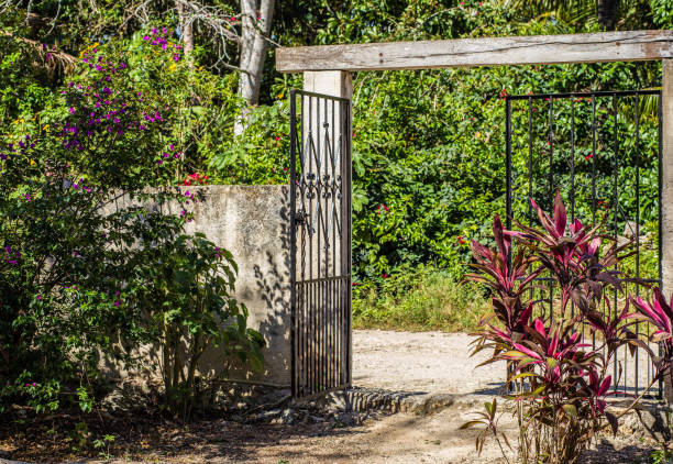 istock Black gate in a tropical colorful exotic garden 947373048