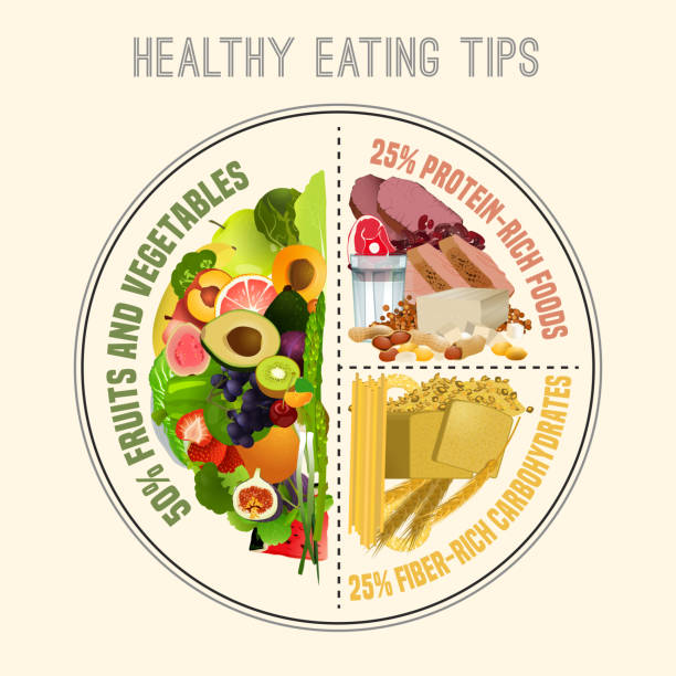Healthy Eating Plate Healthy eating plate. Infographic chart with proper nutrition proportions. Food balance tips. Vector illustration isolated on a light beige background. healthy eating stock illustrations