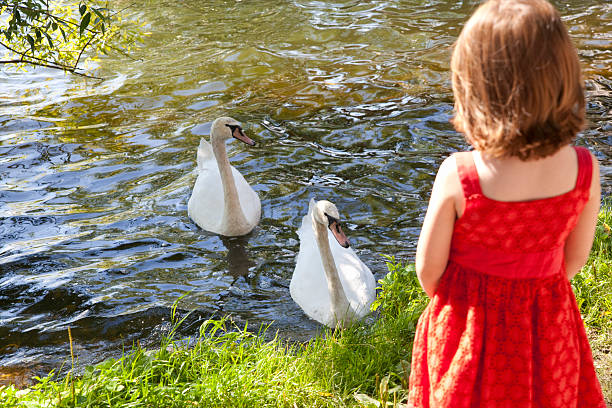 istock Girl And Swans 94738381