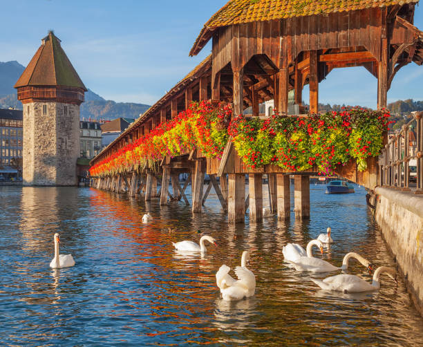 istock Swans at the Chapel Bridge in Lucerne, Switzerland 947389510