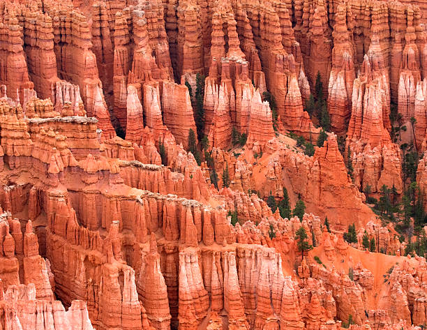 Bryce Canyon, Utah  sunrise point stock pictures, royalty-free photos & images