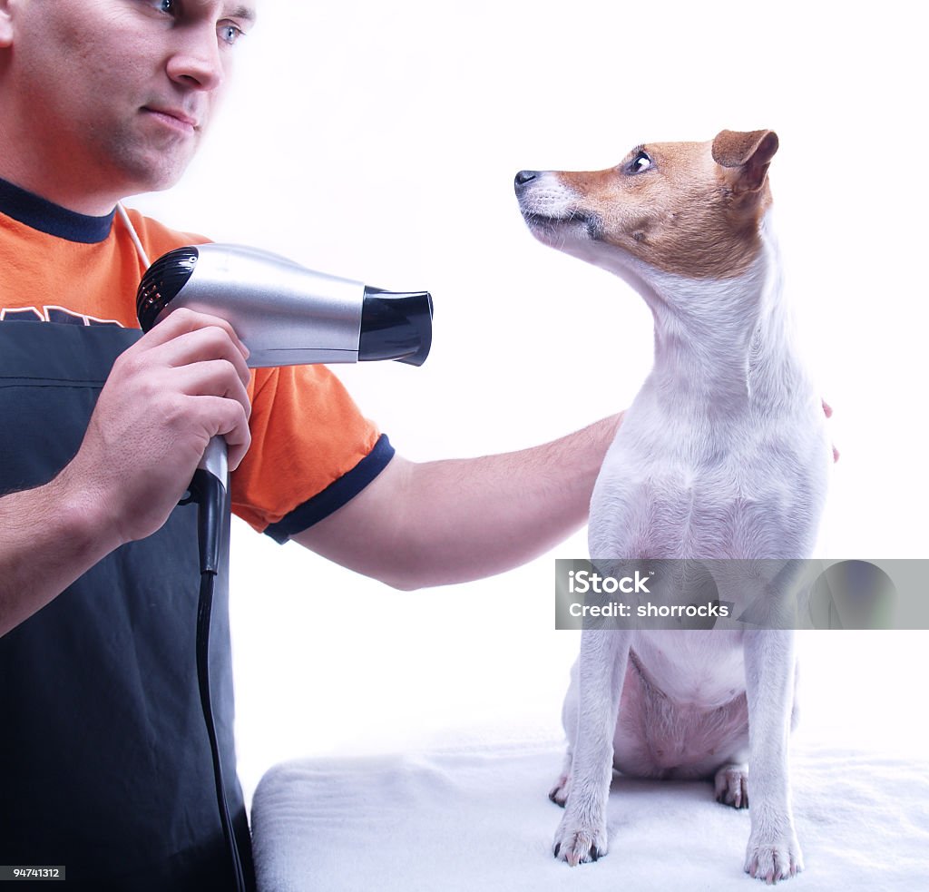 Собака Грумер - Стоковые фото Взрослый роялти-фри