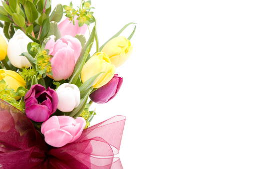 Close up of a bouquet of multi-colored tulips on white; copy space 
