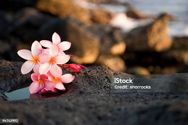 Цветы На Кауаи Series — стоковые фотографии и другие картинки Гавайские острова - Гавайские острова, Цветок, Кауаи