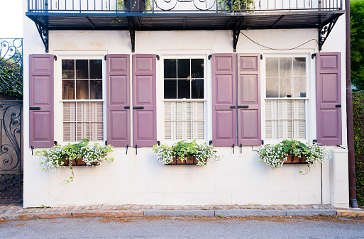 In Charleston, United States, a Southern travel destination, a residential home in the historic neighborhood has purple wooden shutters by the window. Spring flowers fill the planter boxes on the exterior of the home.
