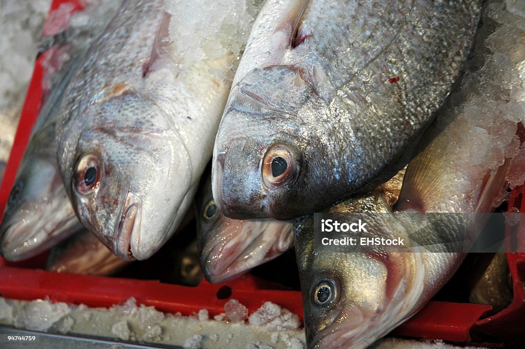 Pargo sobre hielo para su venta en el mercado de pescado - Foto de stock de Aceite de hígado de pescado libre de derechos