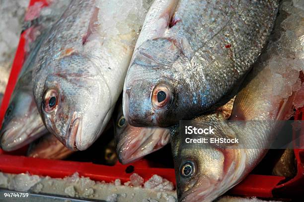 Pargo Sobre Hielo Para Su Venta En El Mercado De Pescado Foto de stock y más banco de imágenes de Aceite de hígado de pescado