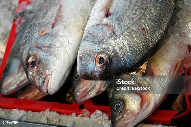 Luciano No Gelo Para Venda No Mercado Do Pescado - Fotografias de stock e mais imagens de Animal morto - Animal morto, Captura de Peixe, Comércio - Consumismo