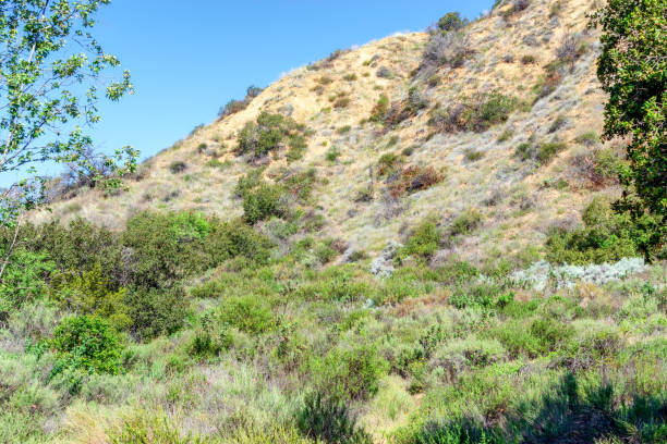istock Hike dry hillsides in the morning 947450316