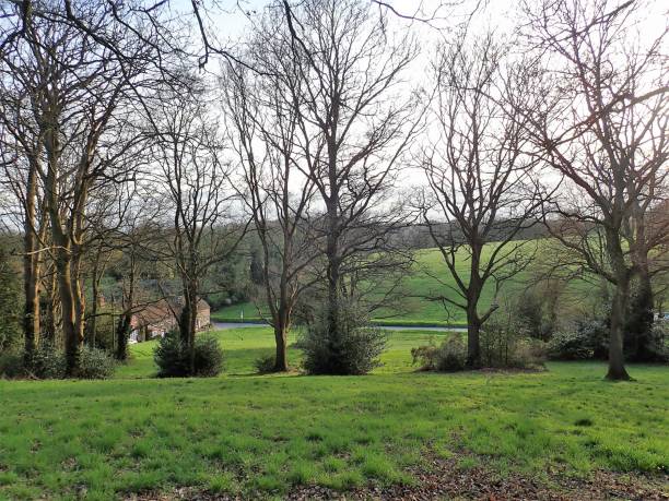 istock View through trees to Dog Kennel Lane, Chorleywood Common 947464802