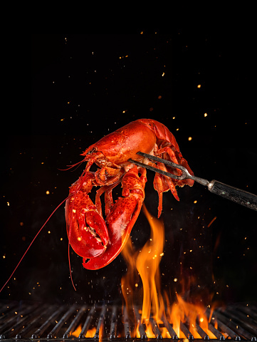 Flying whole lobster from grill grid, isolated on black background. Concept of flying food, very high resolution image