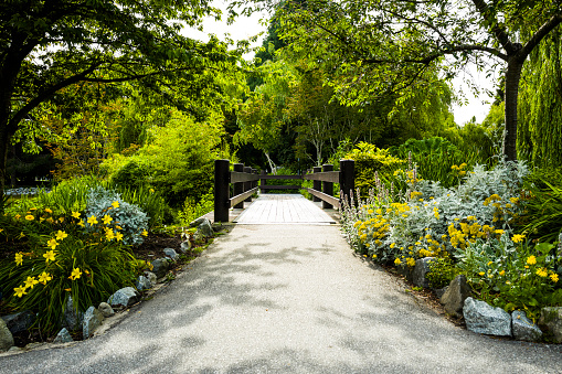 A walkway in a landscaped garden.