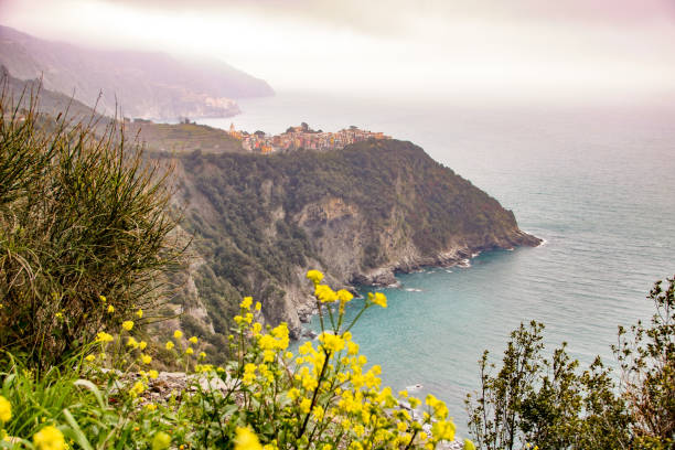istock Landscape of cinque terre 947479036