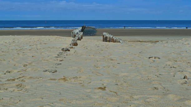 istock Waves and sun on the North Sea coast 947484140