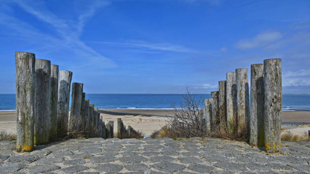 istock Waves and sun on the North Sea coast 947484304