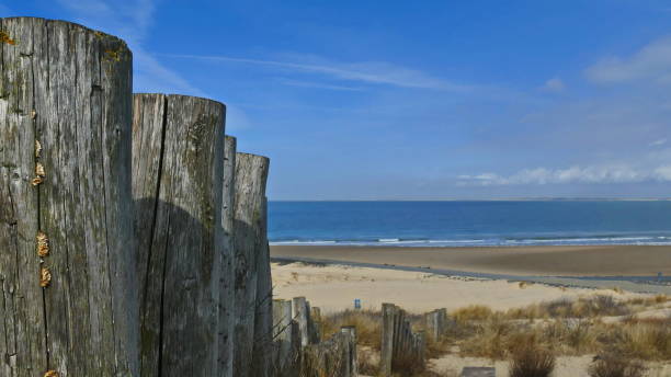 istock Waves and sun on the North Sea coast 947484340