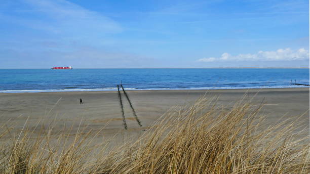 istock Waves and sun on the North Sea coast 947484720