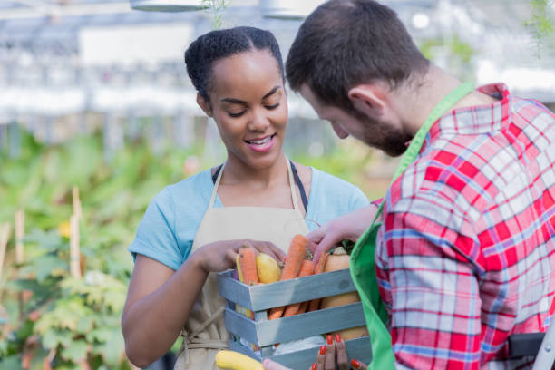 istock Plant nursery workers inspect basket of fresh vegetables 947502514