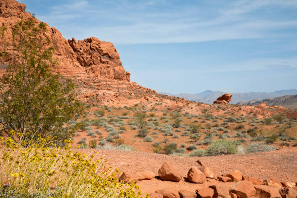 istock Valley of Fire State Park landscape 947507718