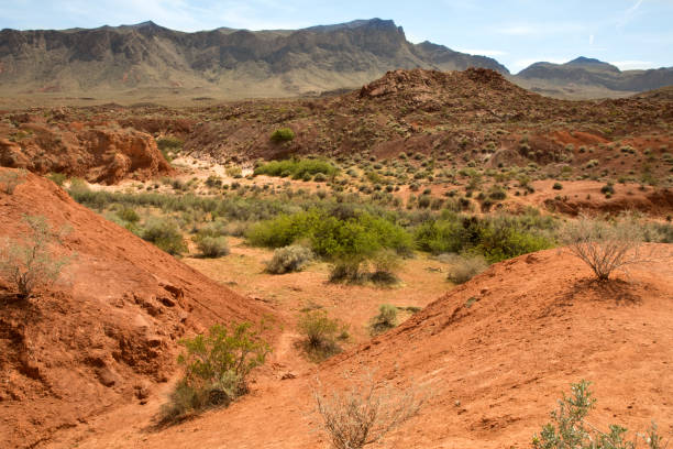 Photo of a desert place at Red Rock Canyon. Nevada. Mountais on background.