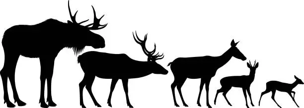 Vector illustration of vector set of moose and deer silhouettes