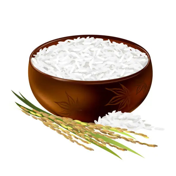 Vector illustration of Rice bowl, realistic vector illustration.
