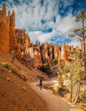 An area within the amphitheater of Bryce Canyon known as the Queen's Garden, due to the shapes of the rock formations.