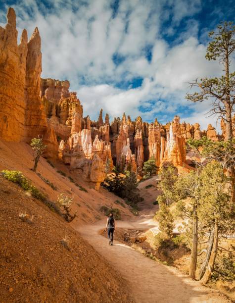 queen's garden - bryce canyon national park imagens e fotografias de stock