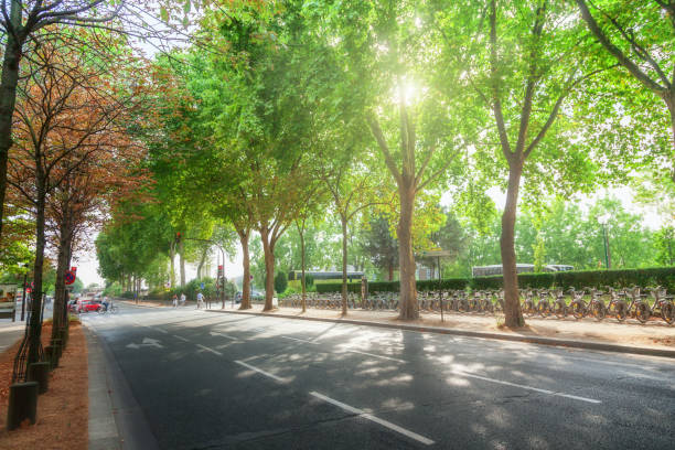 istock Street in Paris 947541234