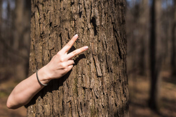 istock Female hand shows two fingers on a wood background 947559278