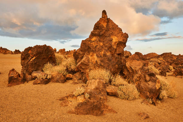 istock Landscape of Tenerife Hinterland 947560604