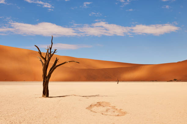 istock Namibian desert landscape 947573386