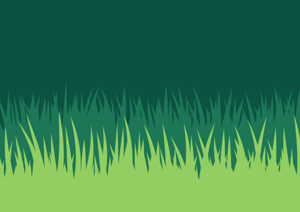 ilustrações de stock, clip art, desenhos animados e ícones de grass lawn background - blade of grass