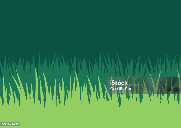 Grass Lawn Background Stock Illustration - Download Image Now - Grass, Yard - Grounds, Backgrounds