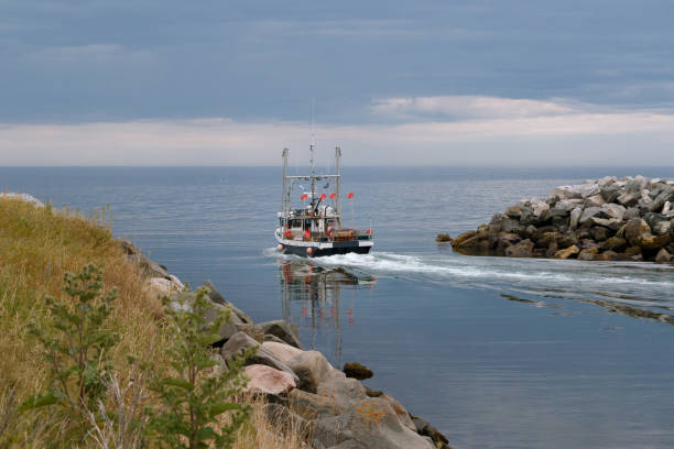 Fishing boat leaving wharf Boat leaving harbour for fishing trip gaspe peninsula stock pictures, royalty-free photos & images