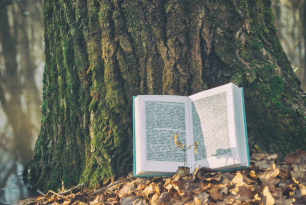 istock Open book in blue bound lying on a dry leaves. Background texture bark tree in spring nature forest lake. Turn pages blurry text under the sunlight 947596460