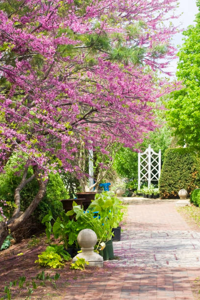 istock Later spring and early summer nature background. 947597788