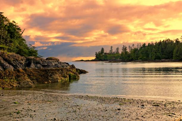 tramonto sulla costa del pacific rim national park, bc, canada - canadian beach foto e immagini stock