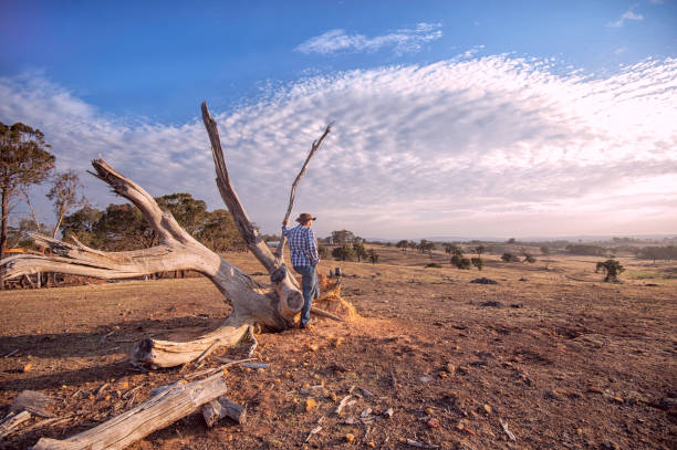 istock Australian Outback Farmer Contemplating 947621544