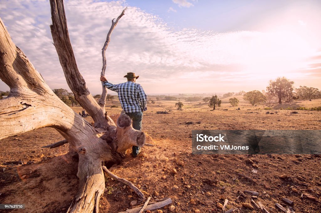 Australian Outback Farmer Senior farmer looking over the drought stricken land, during summer and fire season. Australia Stock Photo