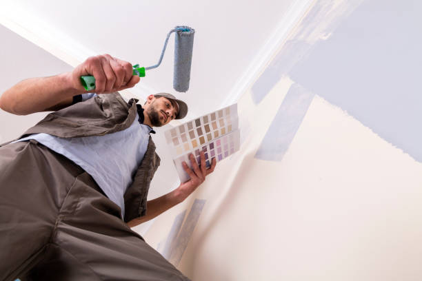 istock Painting their walls like pros 947623396