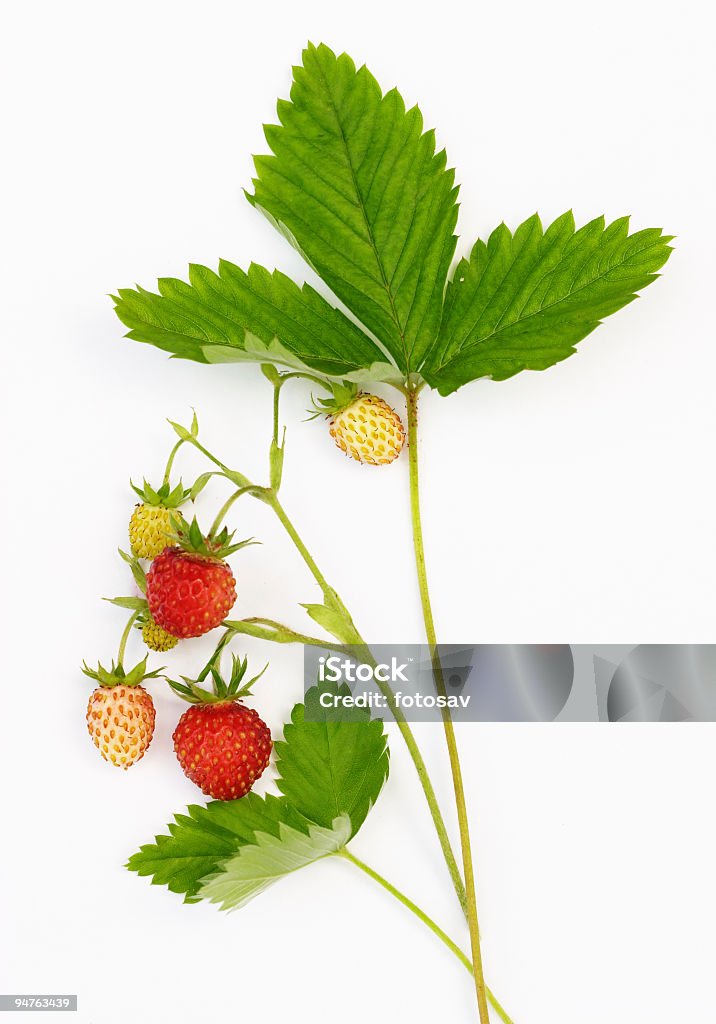 Fragole su sfondo bianco - Foto stock royalty-free di Aiuola